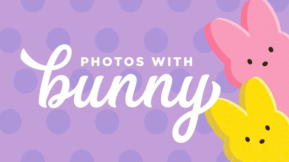 Photos with Bunny