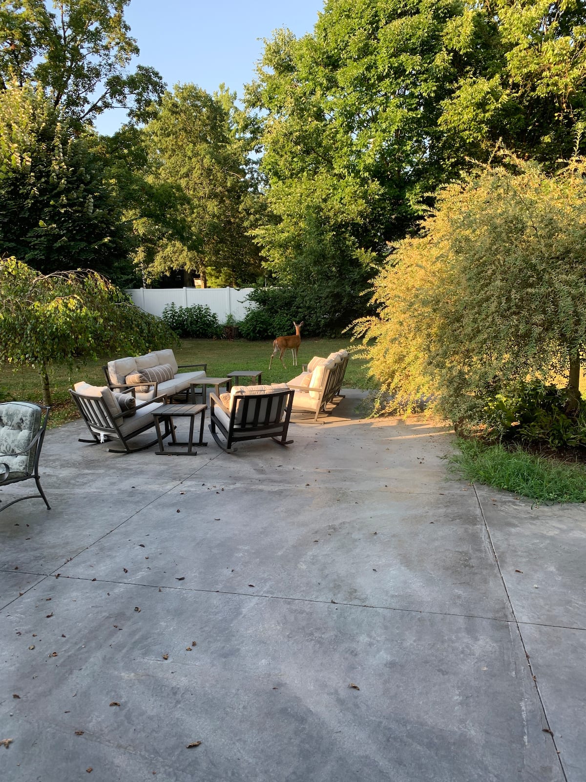 The Wildflower Boutique