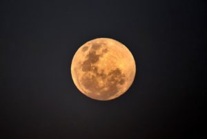 Tomato Swap and Sturgeon Full Moon Hike