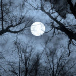 Haunted Hike Under the Hunter’s Full Moon
