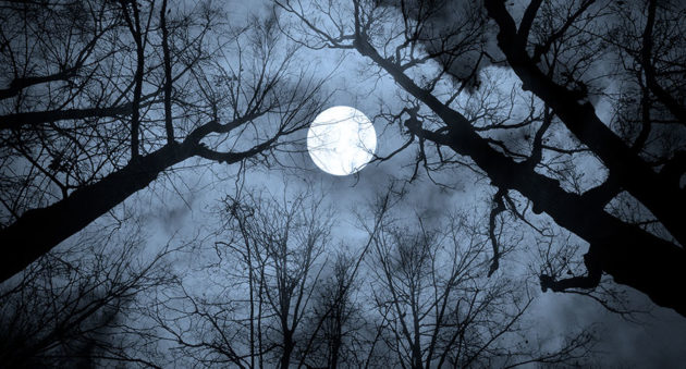 Haunted Hike Under the Hunter’s Full Moon