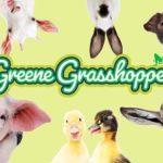 Greene Grasshoppers - Down on the Farm