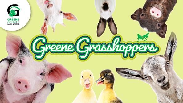 Greene Grasshoppers - Down on the Farm