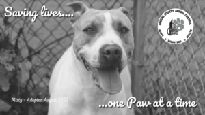 Meet and greet Adoption Event