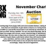 November Charity Auction