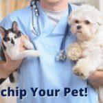 Microchip Your Pet for Free!