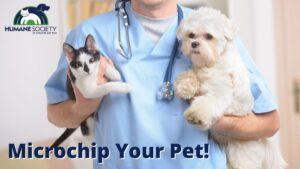 Microchip Your Pet for Free!