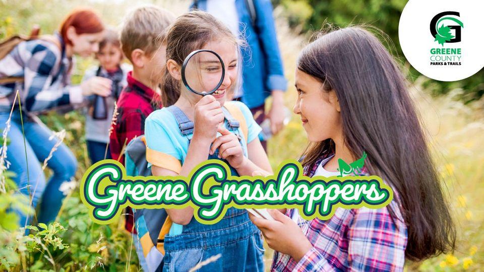 Greene Grasshoppers- Bird Sleuths