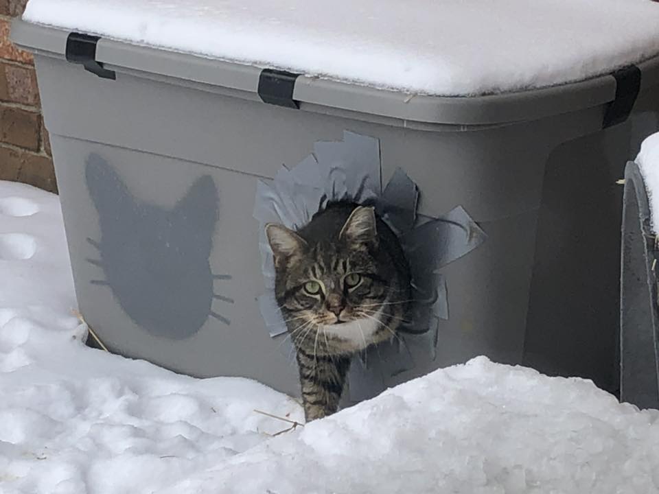 Winter Cat Shelter Construction Workshop