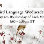 Bird Language Wednesdays