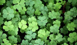 St. Patrick’s at the Peach