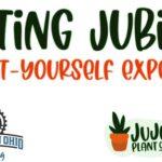 Potting Jubilee: A Pot It Yourself Experience