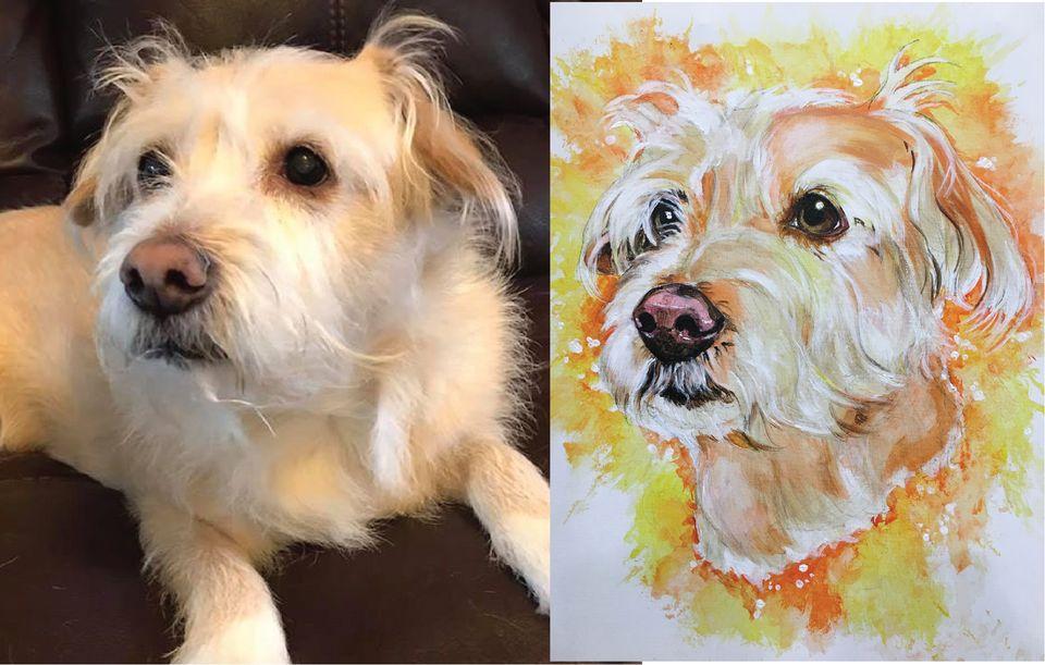 Paint Your Pet _ Humane Society Fundraiser