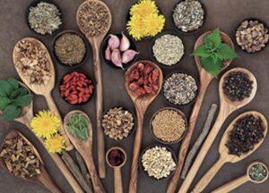 Ancient Detox Wisdom - Tonya Wilson