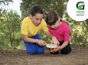 Greene Grasshoppers: Bug Scavenger Hunt