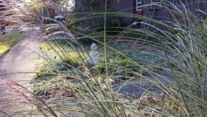 Yellow Springs Dharma Center Retreat